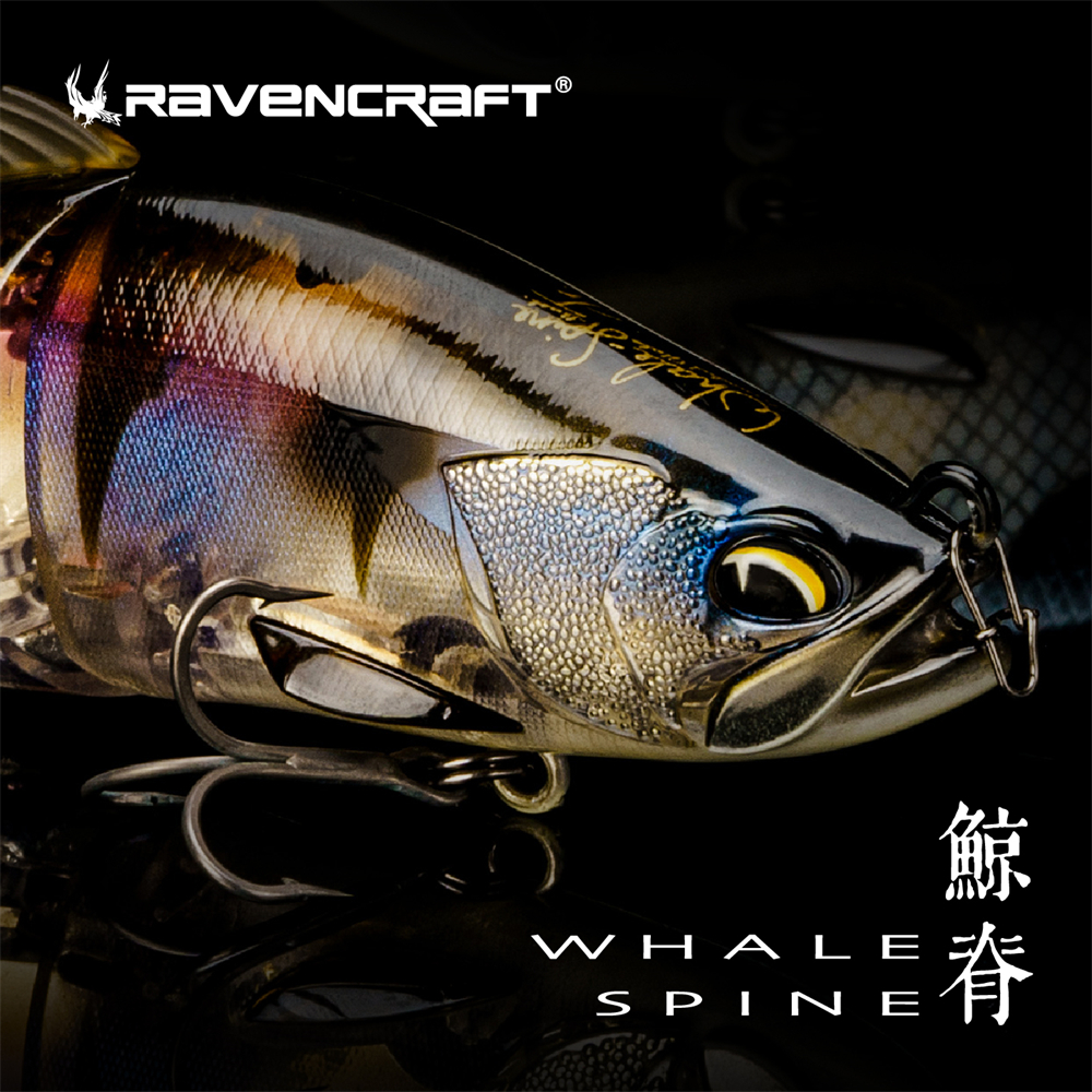 Ravencraft Whale-Spine JR 109m – Fishing Lure Popper Bewertung und Preis