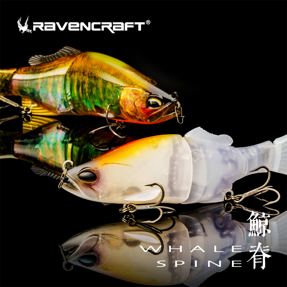 Ravencraft Whale-Spine JR 109m – Fishing Lure Popper Bewertung und Preis