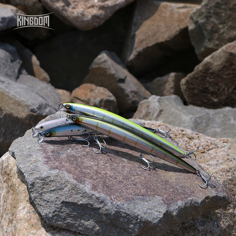 Kingdom Long Casting Fishing L – Fishing Lure Jerkbait Bewertung und Preis